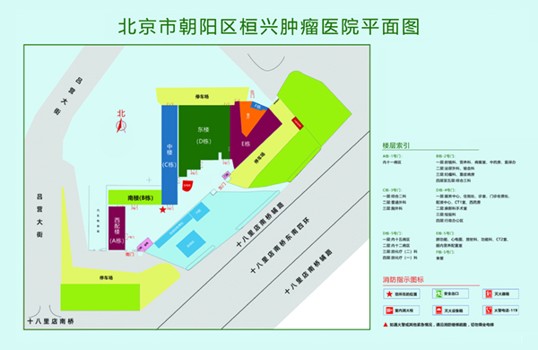 插我逼吧用力插舔舔舔北京市朝阳区桓兴肿瘤医院平面图